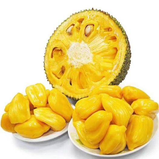 廣西業(yè)盛果苗種植基地