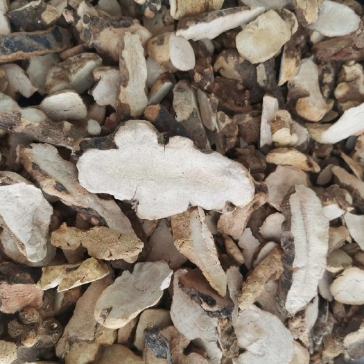 玉林土茯苓 粉质 土茯苓干片无硫