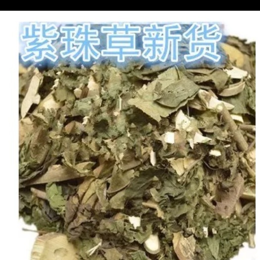 會昌縣大葉紫珠裸花紫珠中藥材