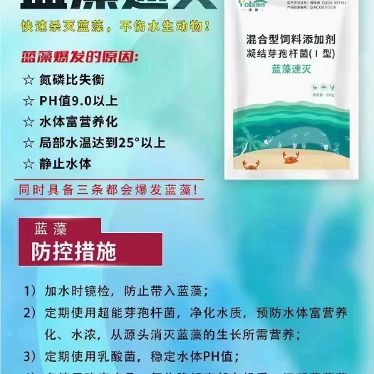 郑州快速除藻，净水稳水，增加溶氧，净化水质