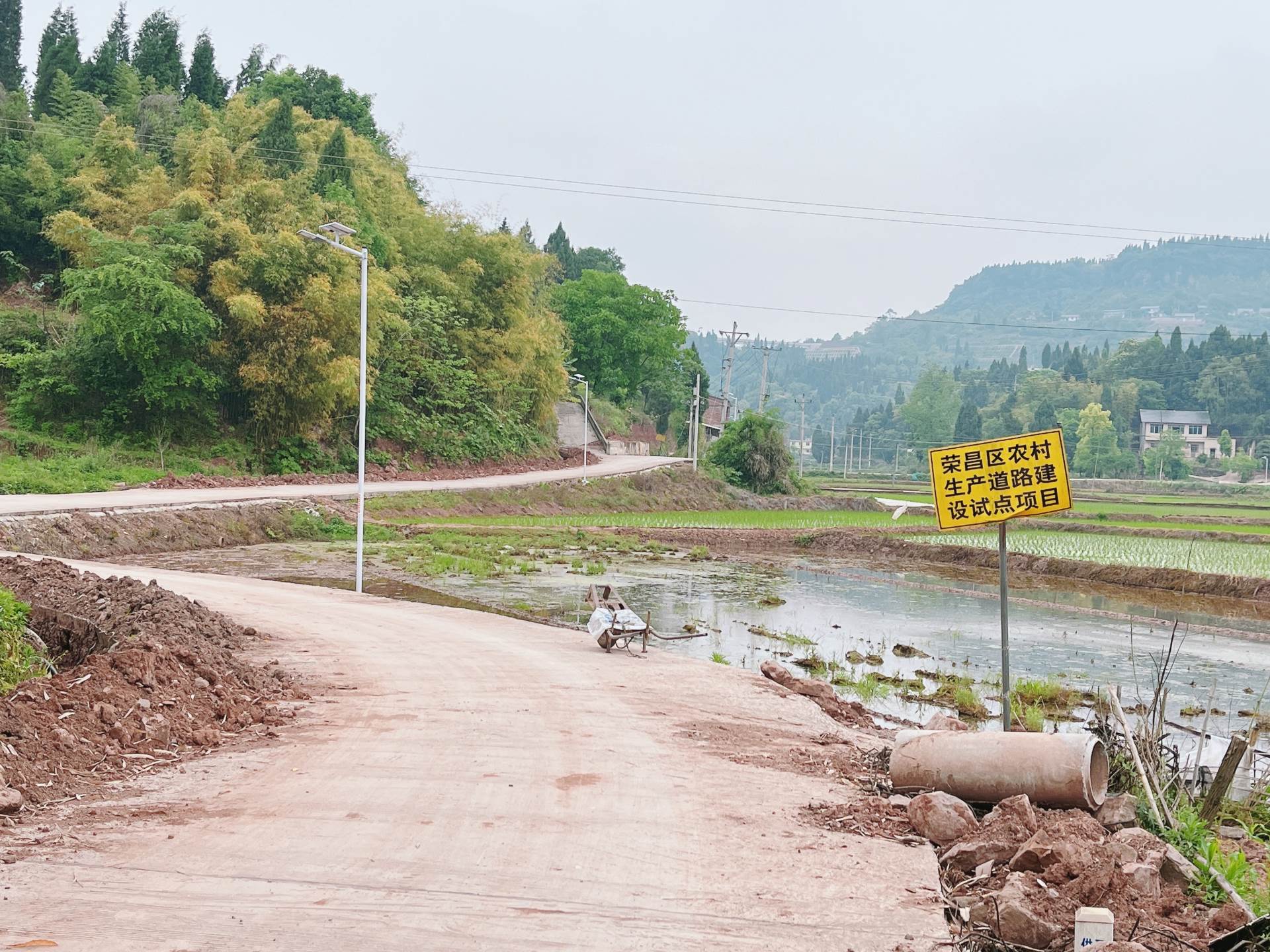 重庆市荣昌100亩基本农田出租，有排水，电力排灌，地势平坦