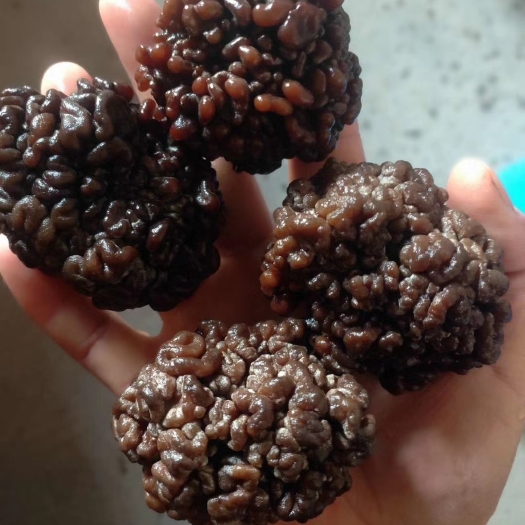 鱼台县食用菌干货核桃菌猴脑菇产地批发零售价格便宜