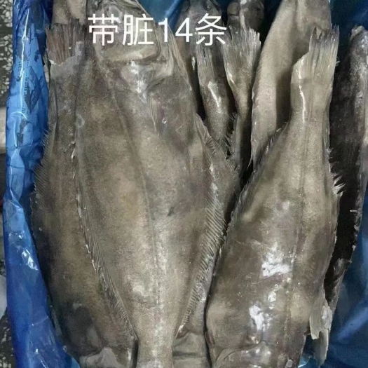郑州深海鲽鱼身新鲜鱼身海鲜大比目鱼整条去头去尾新鲜冷冻
