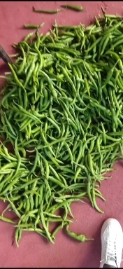 长阳县辣椒，芜湖，螺丝，软香辣，8号线