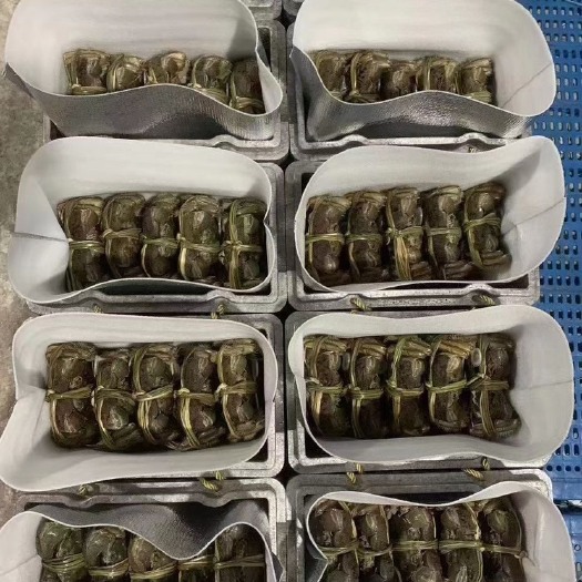兴化市大闸蟹礼盒大闸蟹