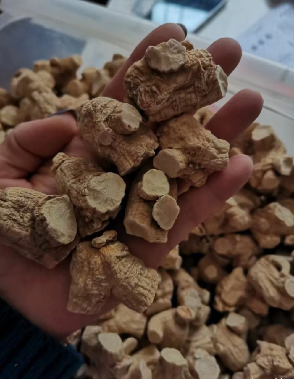 【长白山发货】20克软质西洋参粒头花旗参圆粒多规格可选包邮