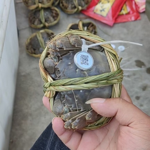 兴化市大闸蟹