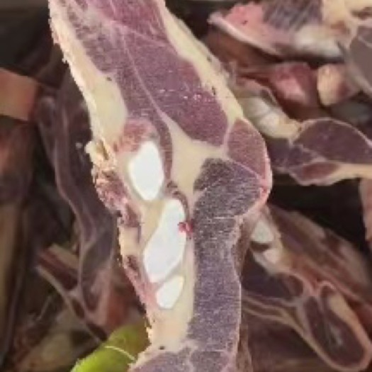 长沙牛腩排