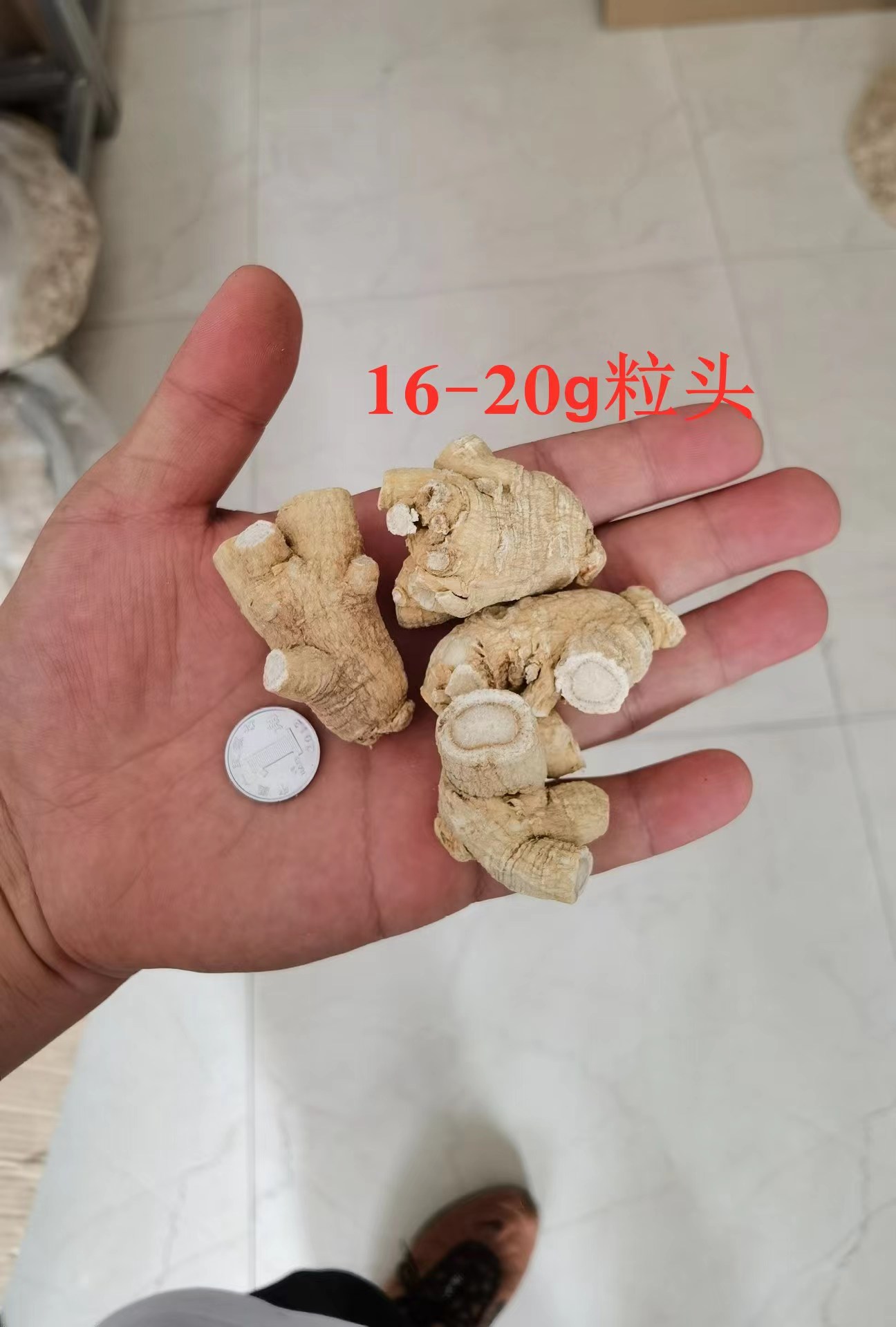 【長白山發(fā)貨】20克軟質(zhì)西洋參粒頭花旗參圓粒多規(guī)格可選包郵