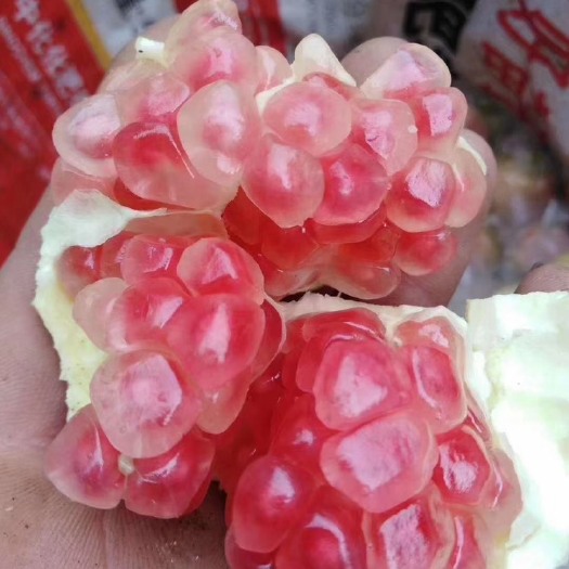 蒙自市蒙自石榴