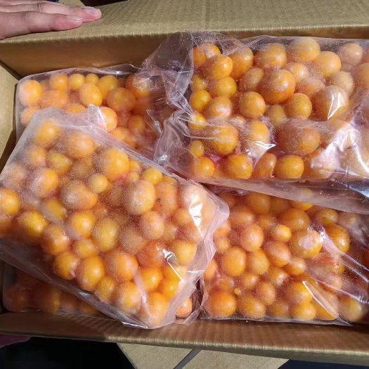 滨州鸡蛋黄5吨，多用处，烘焙，熟食