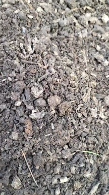 烟台蘑菇渣肥料