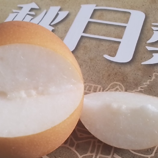 新沂市正宗秋月梨个头大不打药
