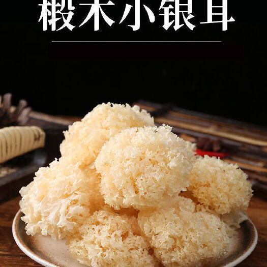 古田县椴木小银耳