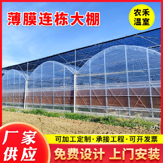 无锡外遮阳薄膜连栋温室大棚 多肉花卉火龙果柑橘连体大棚骨架材料