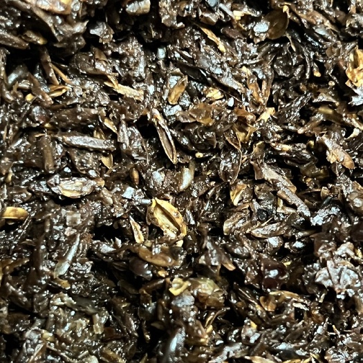 涟水县今世缘白酒糟开始销售