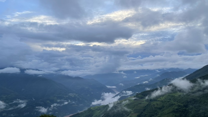 墨江西歧山白茶散料