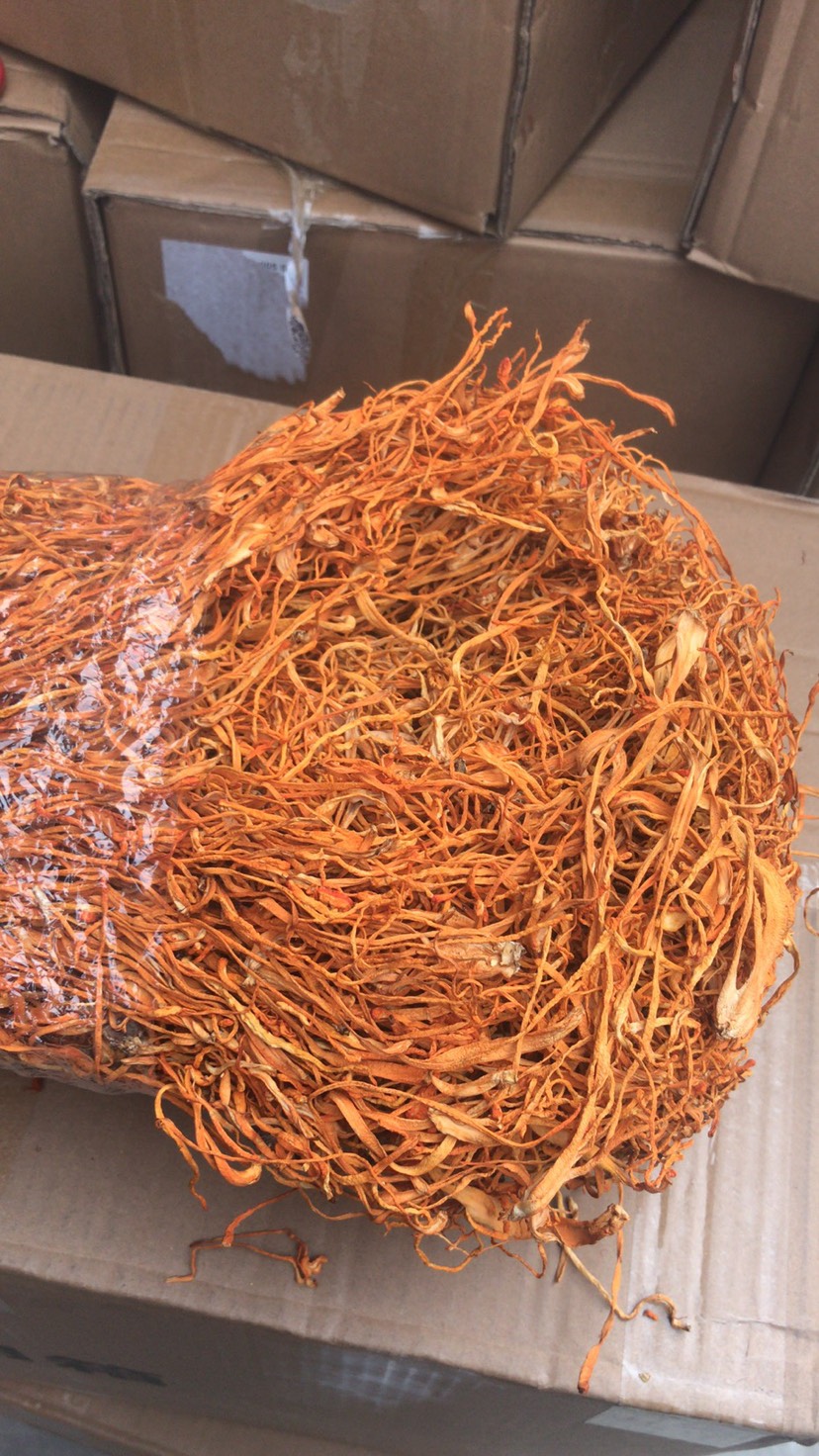 中牟县福建直销各种规格虫草花 无硫磺熏 颜色好看 粗细条均有
