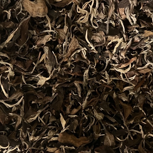 昆明墨江西歧山白茶散料