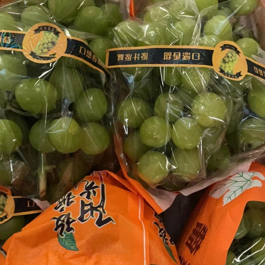 聊城阳光玫瑰葡萄