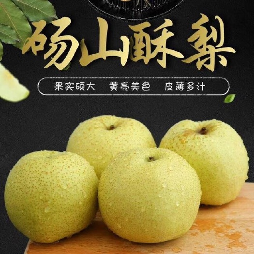 砀山县砀山酥梨