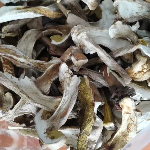 楚雄市牛肝菌（干货）