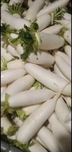 保定白罗卜地正在出售，有需要买地的老板请联系我