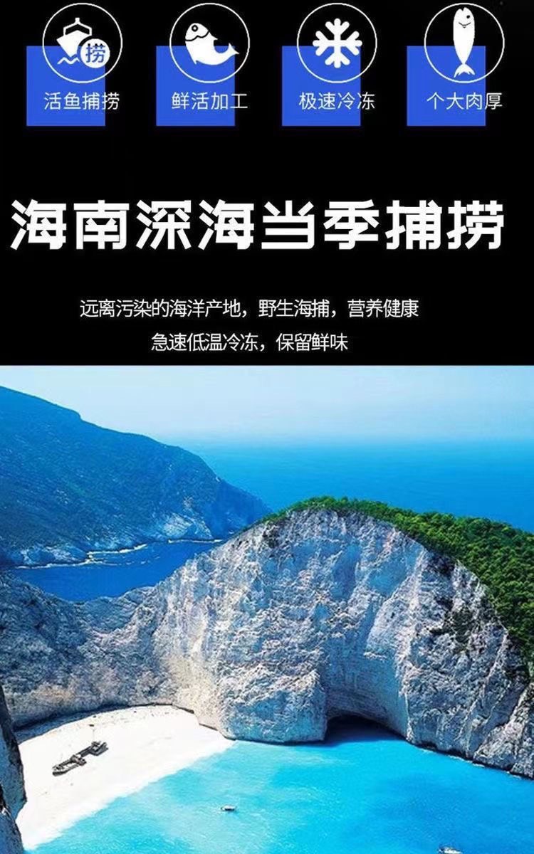 马鲛鱼片鲅鱼新鲜特大中段冰鲜海鲜大全鲜活水产人工冷冻海产品