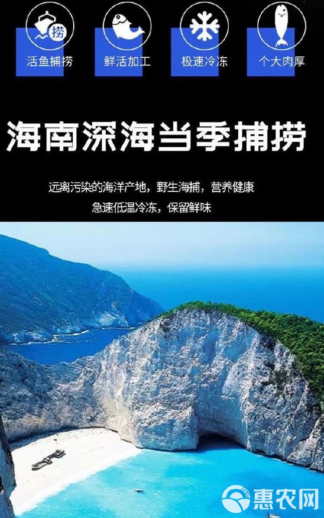 马鲛鱼片鲅鱼新鲜特大中段冰鲜海鲜大全鲜活水产人工冷冻海产品