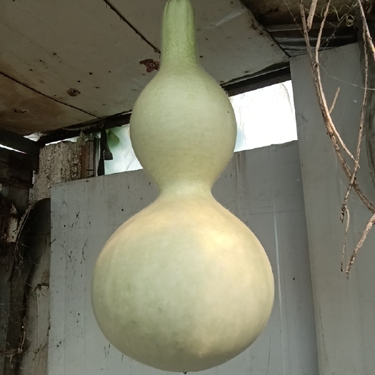 玉田县葫芦