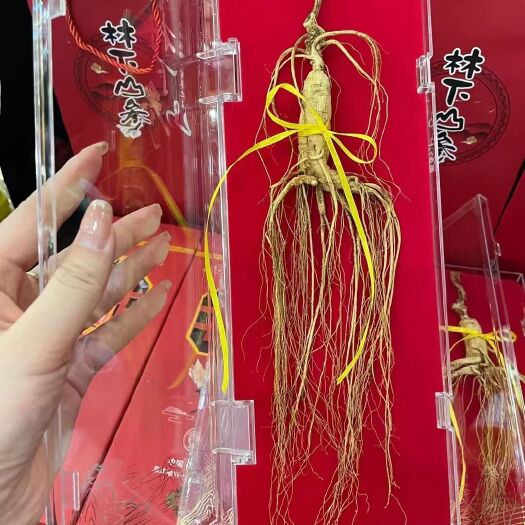 林下参 飞鹤