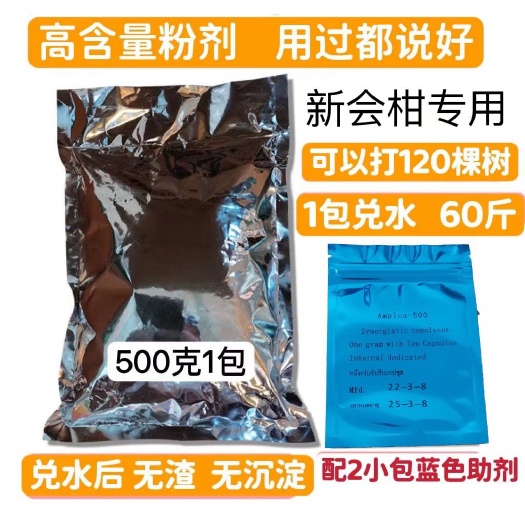 广州粉果树黄化叶子黄化脐橙柚子柑橘沙糖桔红鼻子果缩叶