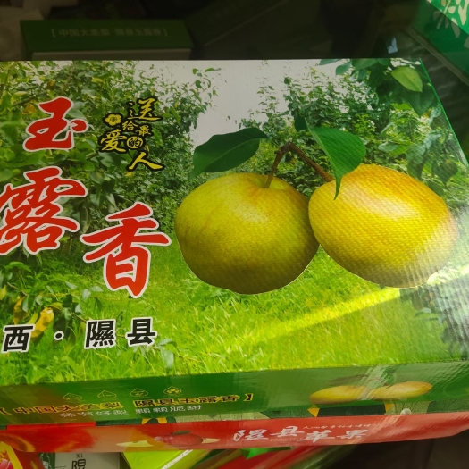 隰县山西临汾隰县玉露香梨皮薄肉厚汁多