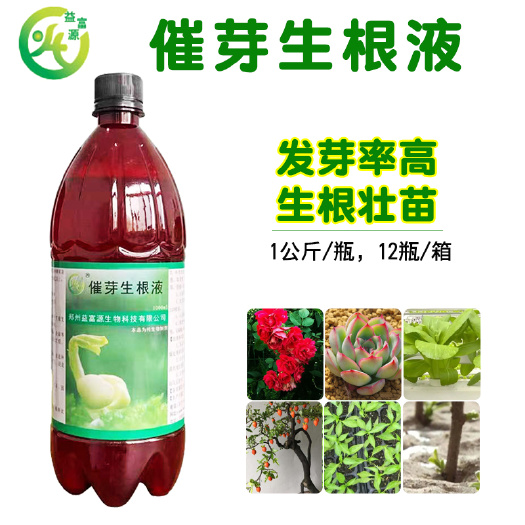郑州催芽生根剂草莓移栽百香果月季扦插发根育苗营养液发芽壮苗辣椒