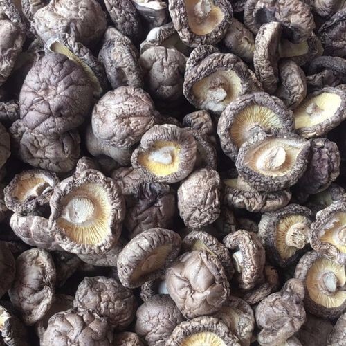 干香菇冬菇花菇珍珠菇