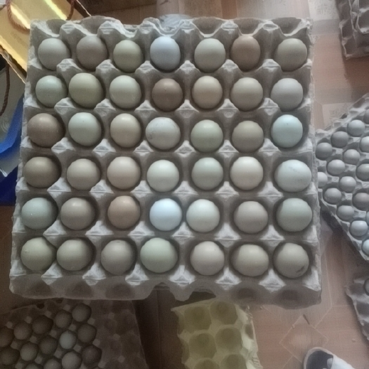 商河县新鲜出生鸡蛋，个头小，但营养不少