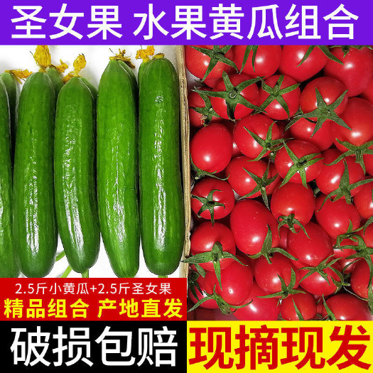 潍坊[一件代发]基地直发品质圣女果小黄瓜组合新鲜爽口现摘现发