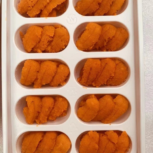大连冰冻海胆肉