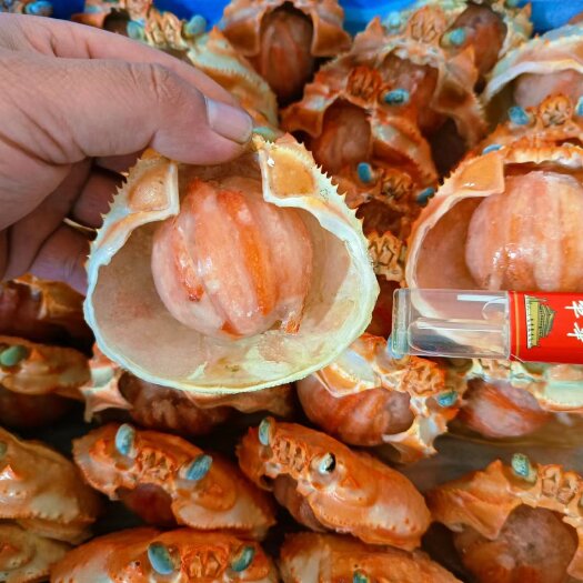 珲春市蟹宝自助餐 中餐 档口价格底 品质优