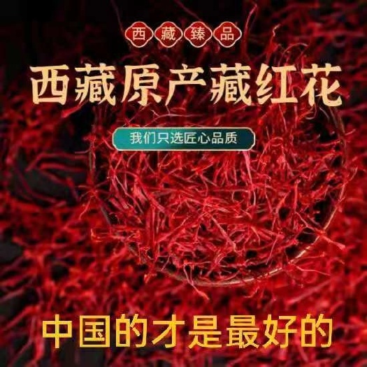 昆明西藏本地藏红花 产自西藏非伊朗红花 数量高原生长藏红花