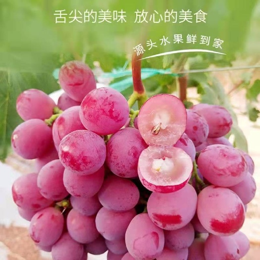 渭南现摘现发提子葡萄红提葡萄孕妇宝宝水果