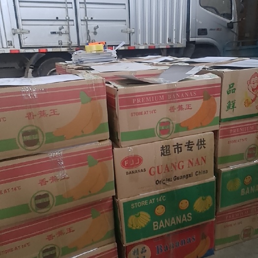 淮安丝瓜