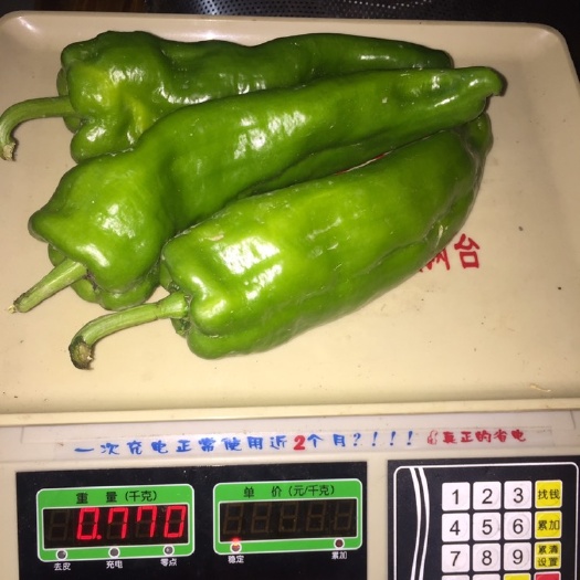 自贡薄皮辣椒菜椒