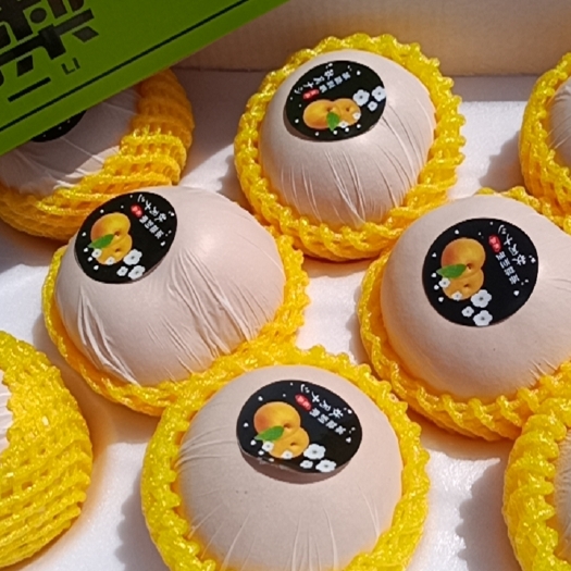 莱阳市秋月梨