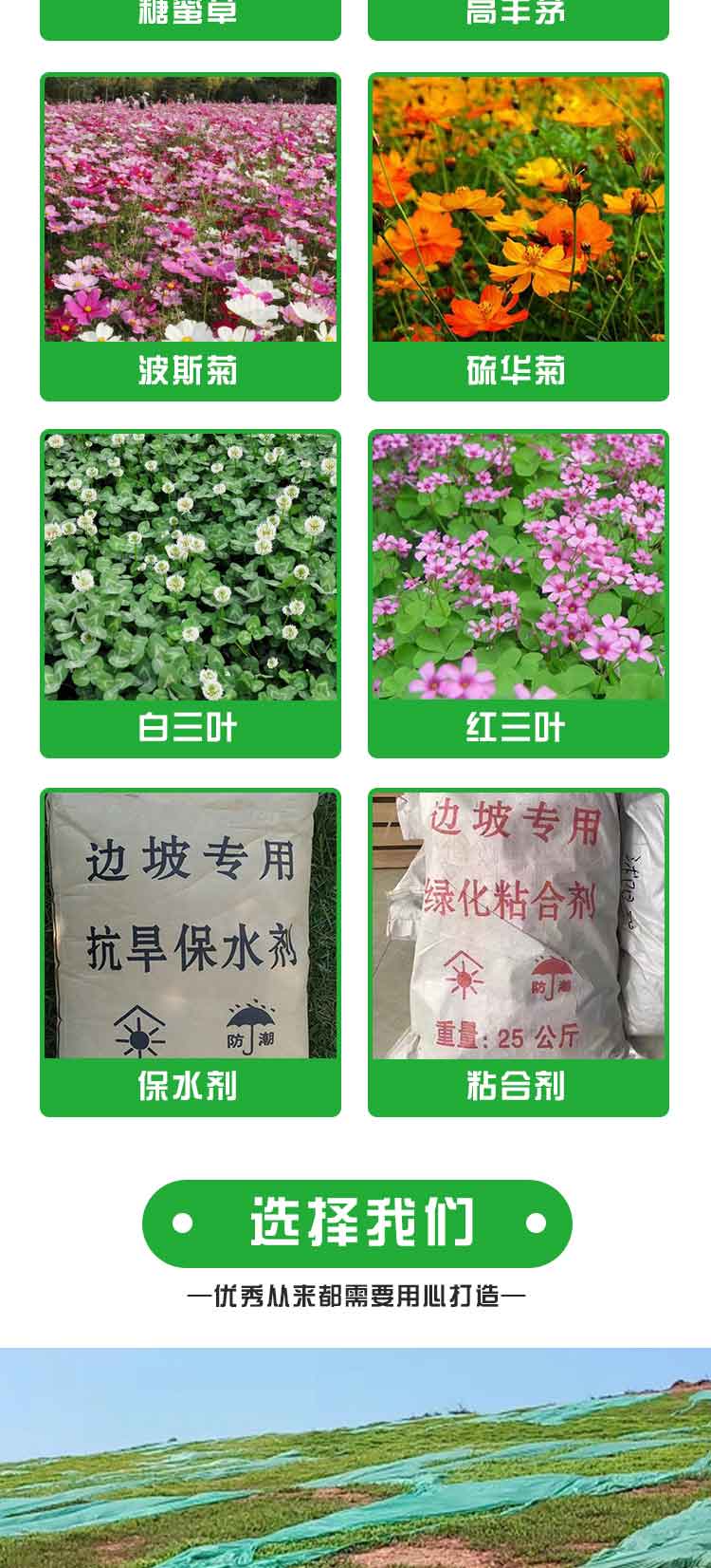 廣西植生袋價(jià)格護(hù)坡復(fù)綠邊坡綠化工程常用植草袋批發(fā)可定制