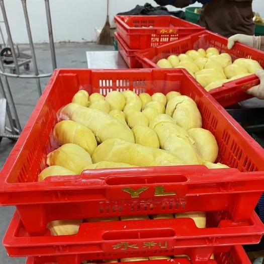 佛山泰国榴莲冻肉