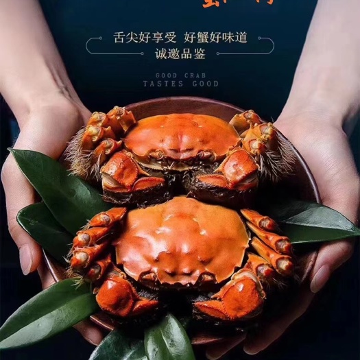 兴化大闸蟹，蟹农直销，量大从优，欢迎选购