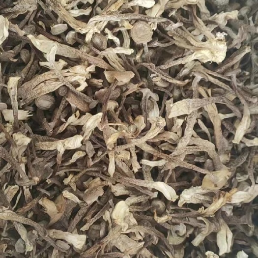 古田县B货鹿茸菇干货