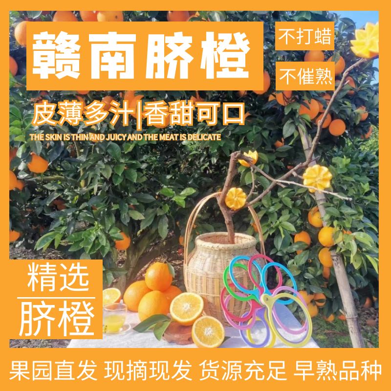 信丰县赣南脐橙|信丰直发|皮薄多汁|坏果包赔|天天发货|当季水果