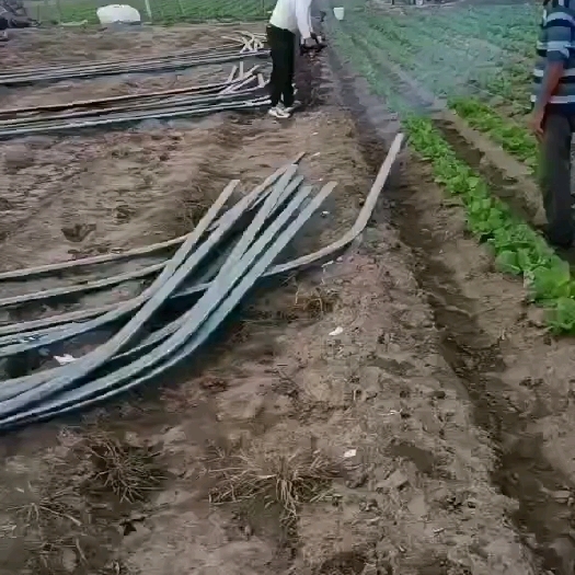 天津大棚骨架